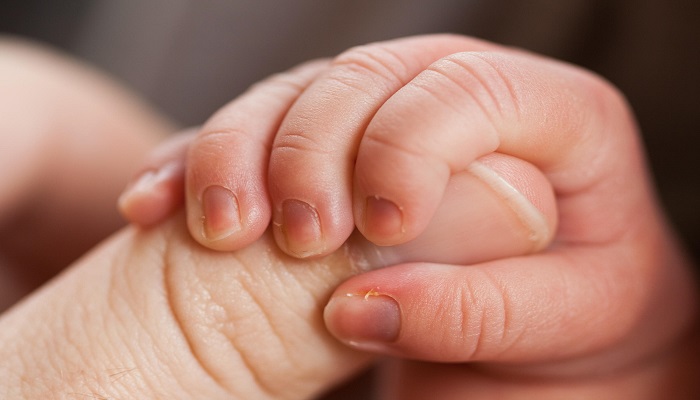 Newborn baby hand grips an adult's finger.