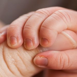 Newborn baby hand grips an adult's finger.