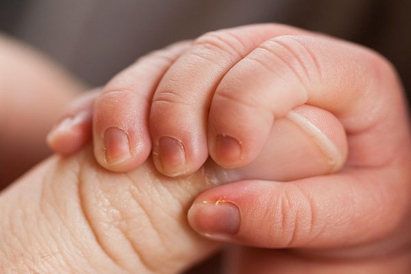 Newborn baby hand grips an adult's finger.